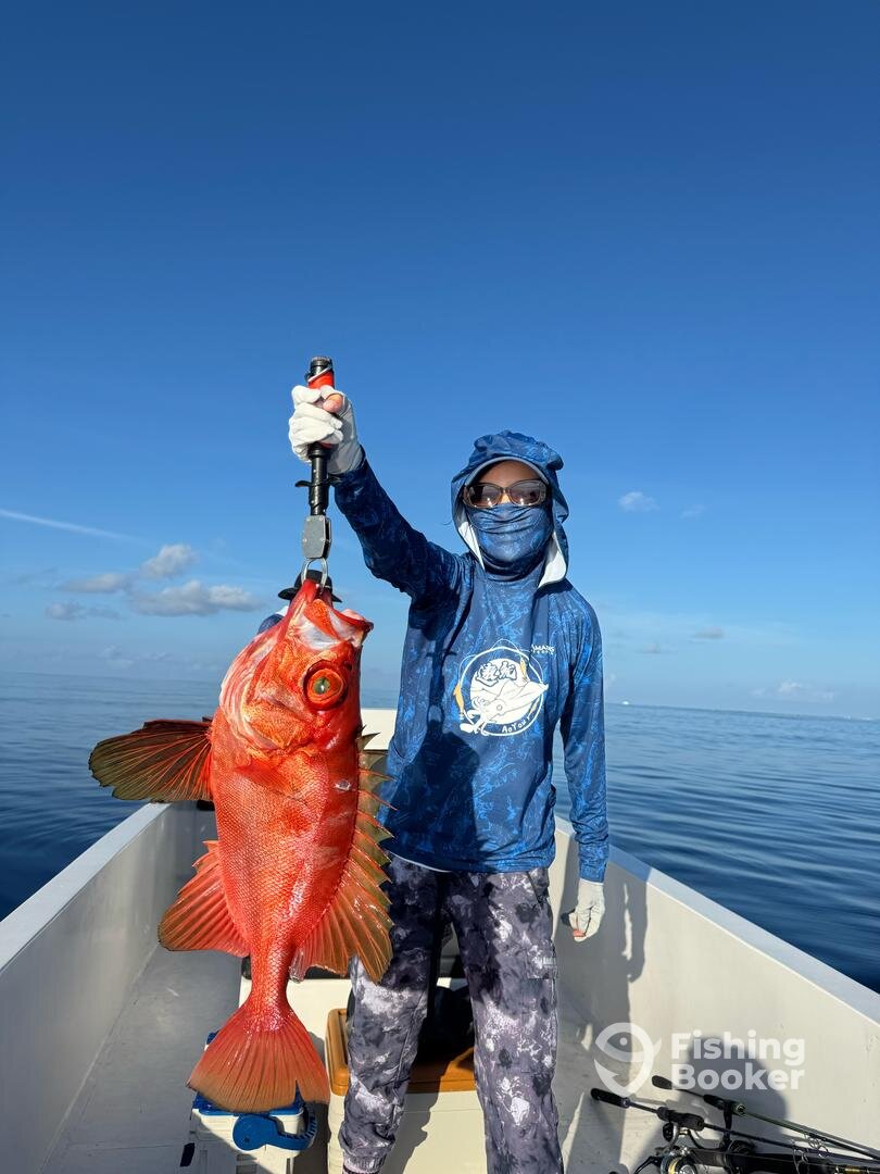 Fulhadhoo Report Photo 0