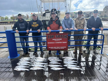 Coho Salmon Action on Fire!