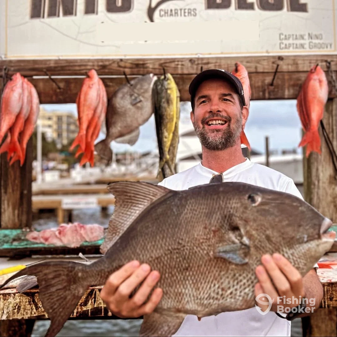 Destin Report Photo 0