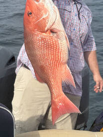 I found a Gag Grouper honey hole spot.