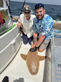 St. Simons Island Report Photo 1