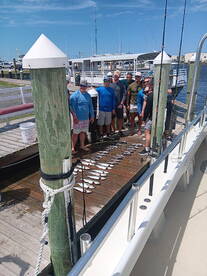 Grest sea bass fishing 