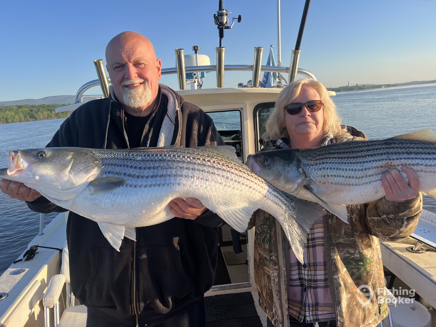 Saugerties Report Photo 0