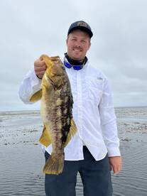 Seal Beach Report Photo 2