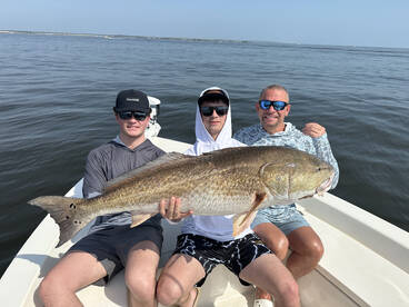 Jacksonville Report Photo 2