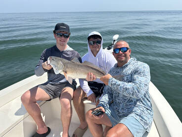 Jacksonville Report Photo 1