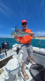 Cabo San Lucas Report Photo 1