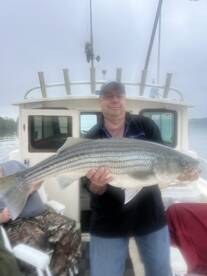 Saugerties Report Photo 1