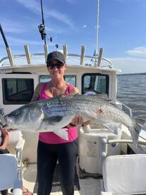 Saugerties Report Photo 3