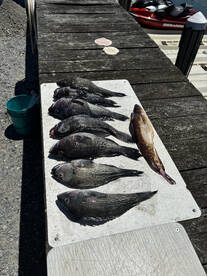 Brigantine Report Photo 2