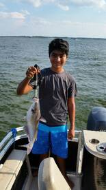 Conroe Report Photo 2