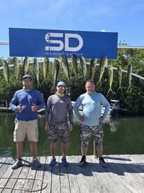 Limits of Mahi today!