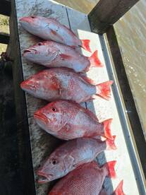 Venice Report Photo 1