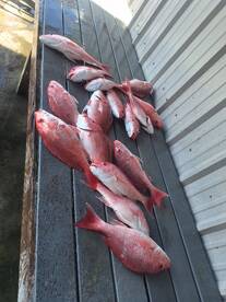 Venice Report Photo 2