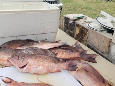Fort Myers Report Photo 2
