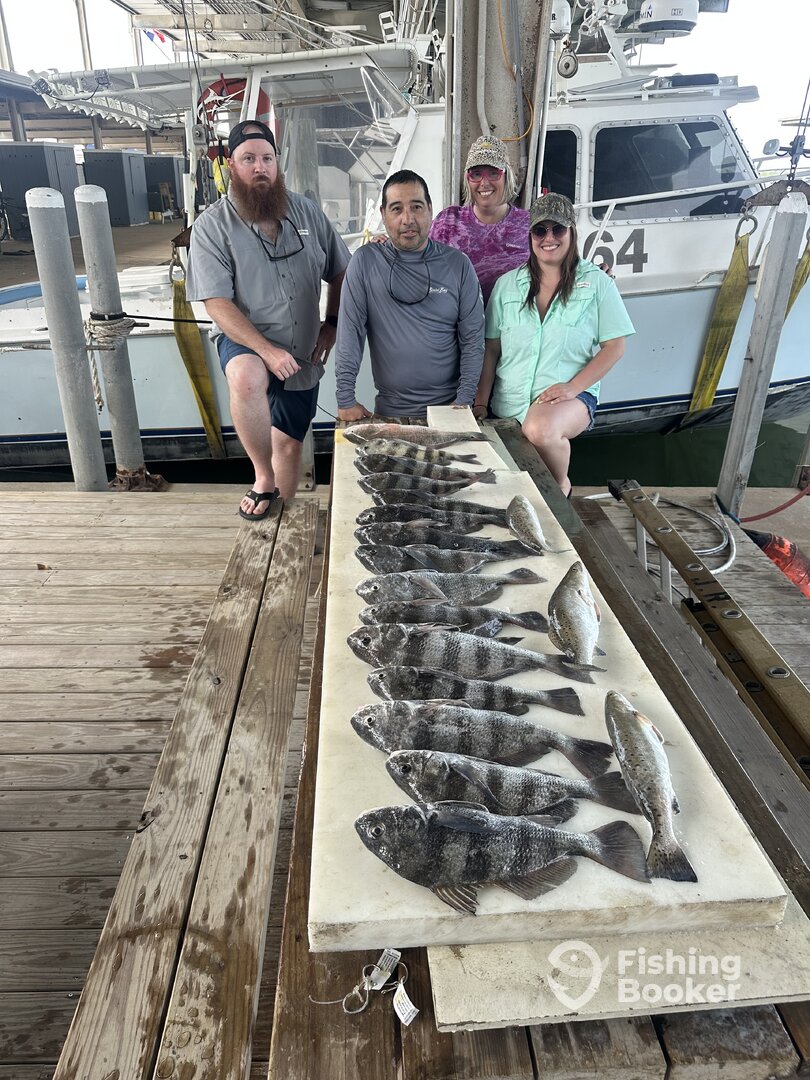 Galveston Report Photo 0