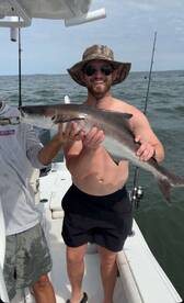 Coboa snd sharks!