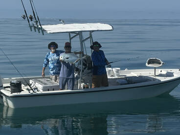 Bay Pines Report Photo 1