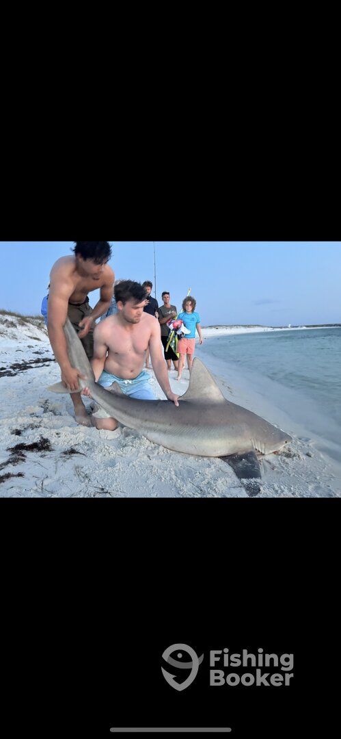 Destin Report Photo 0