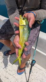 Cedar Key Report Photo 1