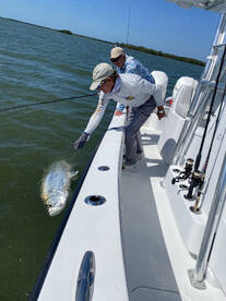 Naples Report Photo 2