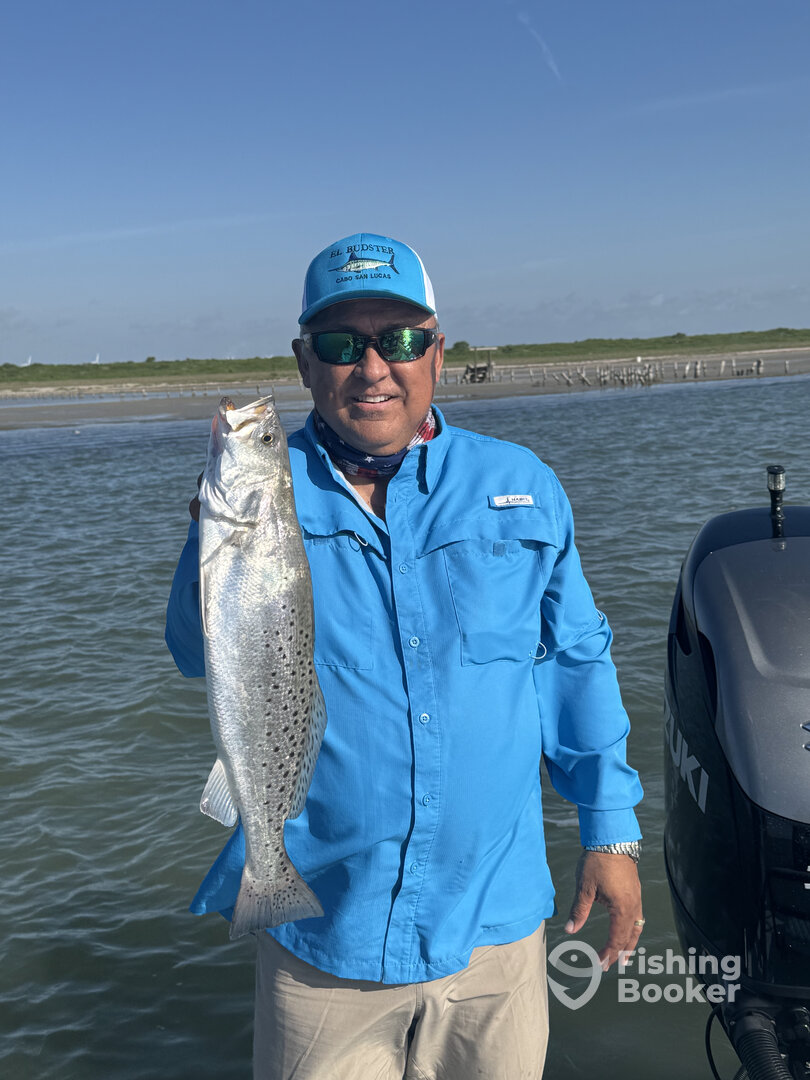 Corpus Christi Report Photo 0