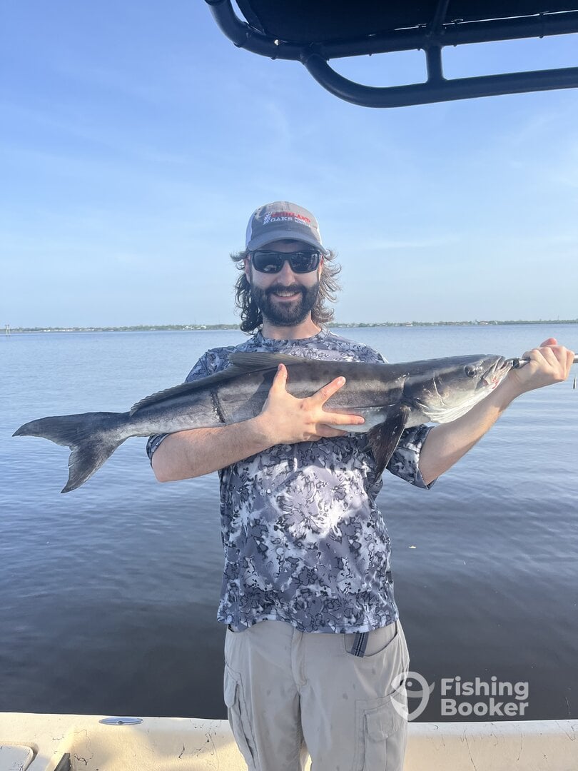 Punta Gorda Report Photo 0