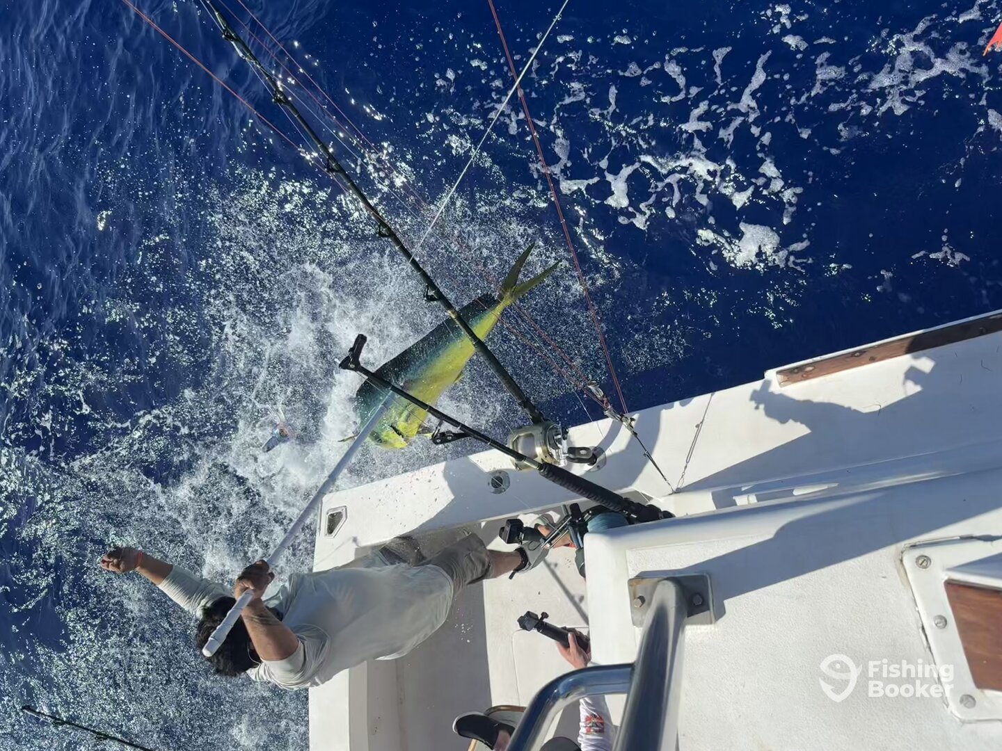 Mahi