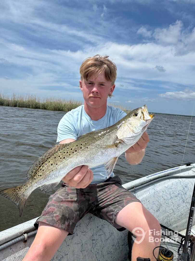 Pensacola Report Photo 0