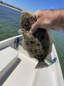 Port St. Joe Report Photo 1
