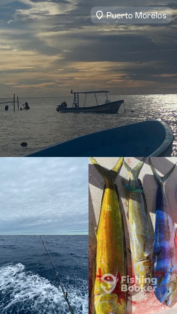 Puerto Morelos Report Photo 0
