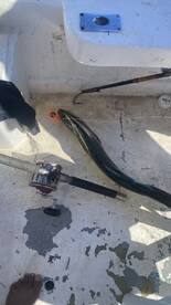 Puerto Morelos Report Photo 2
