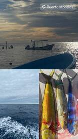 Fishing Day