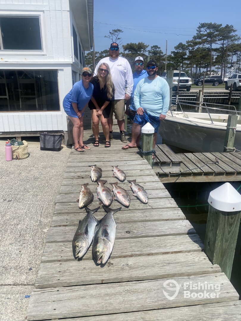Wanchese Report Photo 0