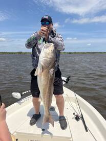 Not thick but theres still a few around 