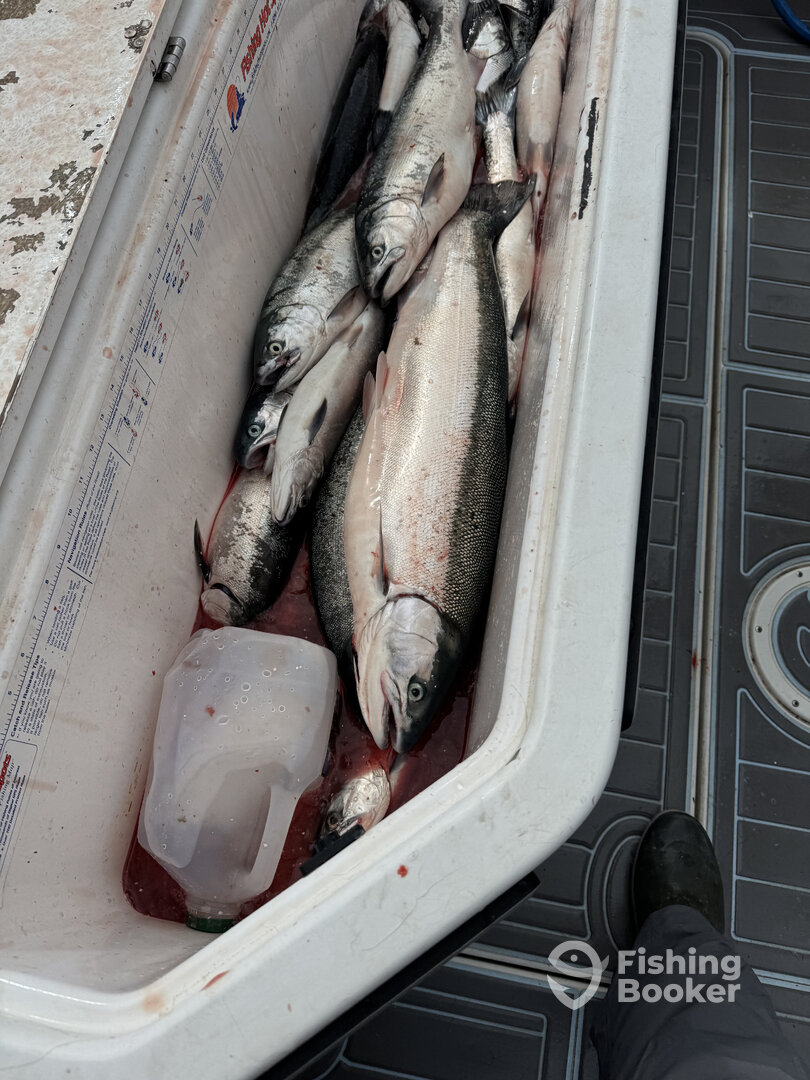 Port Washington Report Photo 0