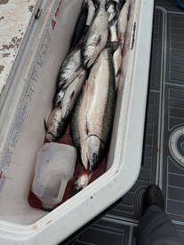 Coho fishing is on fire!!!