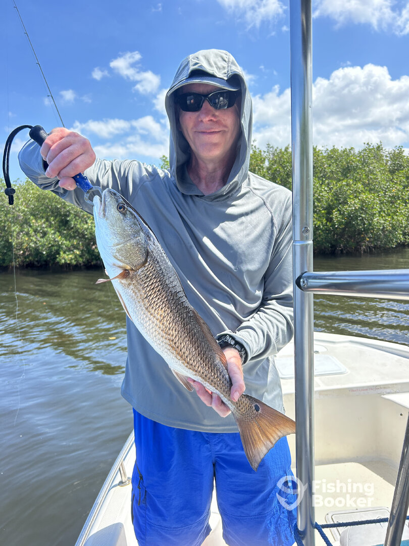 Punta Gorda Report Photo 0