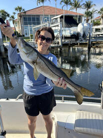 Punta Gorda Report Photo 2