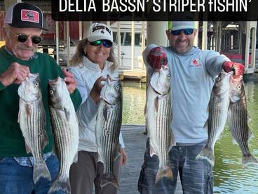 Bethel Island Report Photo 2