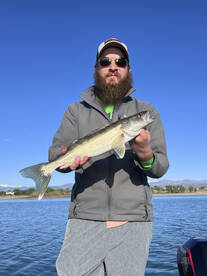 Colorado Report Photo 1
