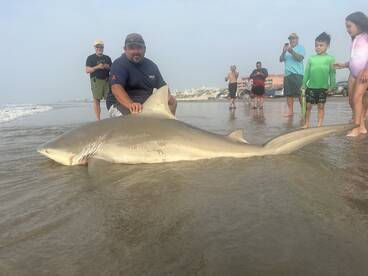 Corpus Christi Report Photo 2