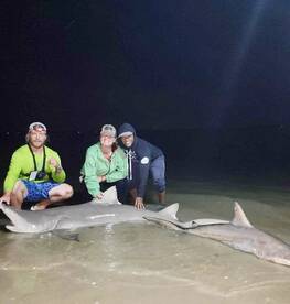 Land based SHARKS and COBIA