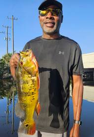 Delray Beach Report Photo 1