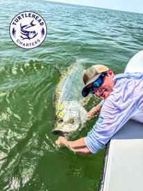 Crystal River Report Photo 2