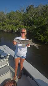 Snook!