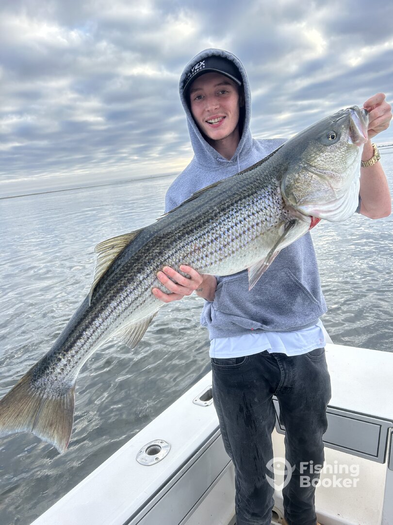 Scituate Report Photo 0