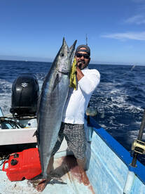 San Jose del Cabo Report Photo 2
