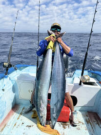 San Jose del Cabo Report Photo 1