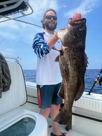 Grouper bite has been on fire!